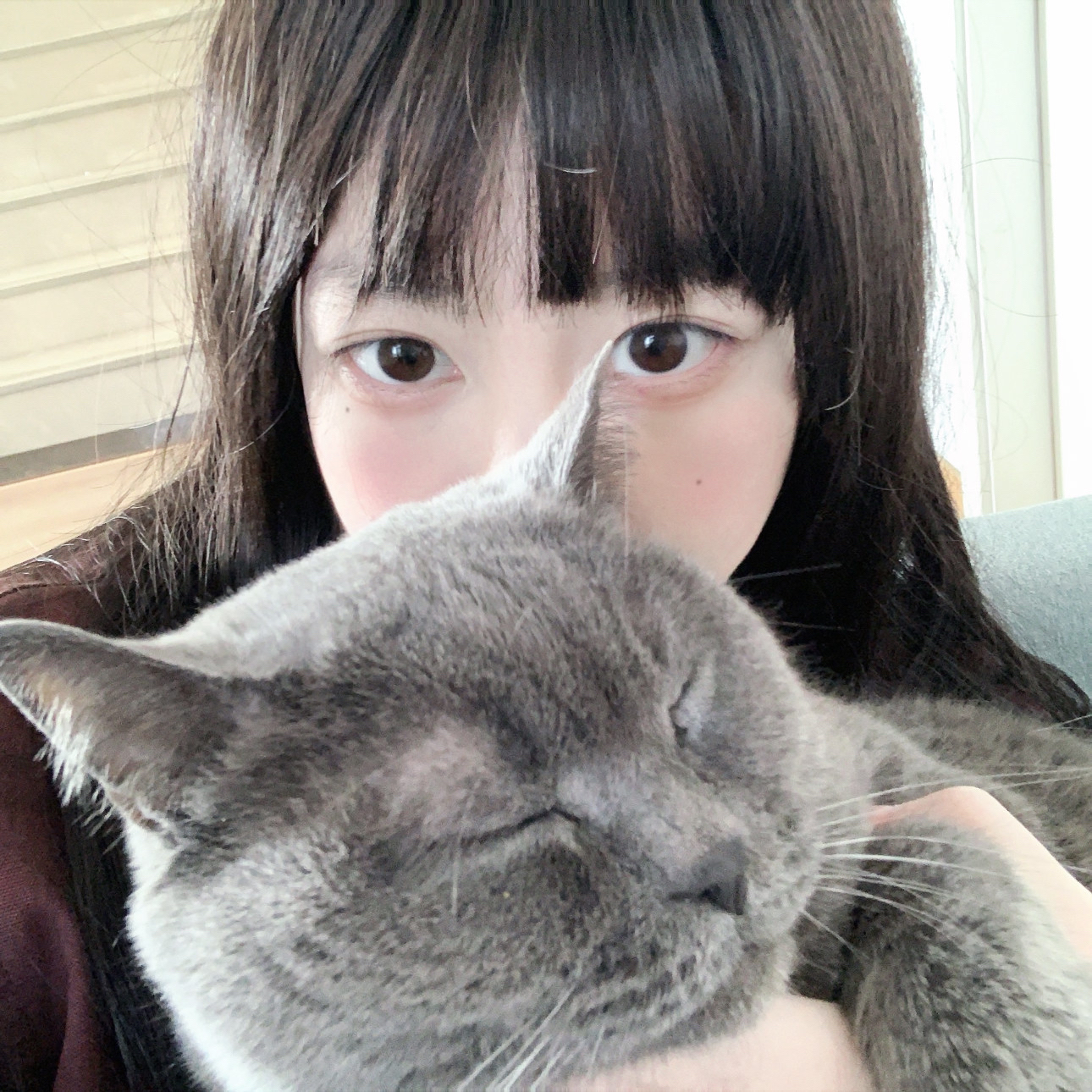 Fancy Ice Cream Cupcakes